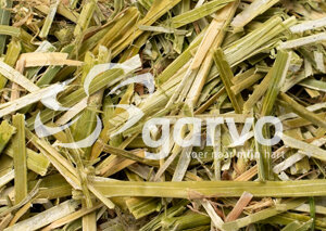 Garvo 2372 Fytolin Fibre LUCERNE (extra-gezeefd)