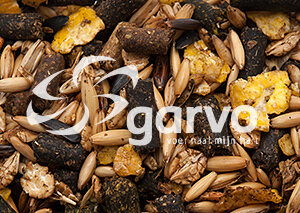 Garvo 230 Fyto GOLD