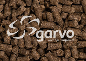 Garvo 232 Fyto NOVA