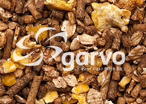 Garvo 1020 Alfamix Geit